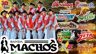 Banda Machos, Banda Maguey, Banda cuisillos, Banda El Recodo,...  Tecno Bandas Mejor Musica