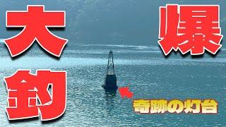 【大発見】沖にポツンと立つ灯台の周りで、青物奇跡の大爆釣！釣っても釣っても釣りきれないライトゲームをご覧ください。