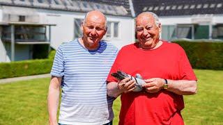 Vandenheede Freddy & Jacques: Racing Pigeon Champions -1st, 2nd, 3rd,  NatChateauroux (15,060 Birds)