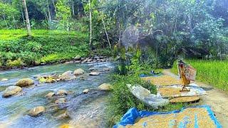 MASYA ALLAH TIDAK DI SANGKA Seenak Ini Datang Ke Kampung Yang Indah Pemandangan Alam Desanya