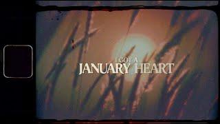 Miranda Lambert - January Heart (Official Lyric Video)