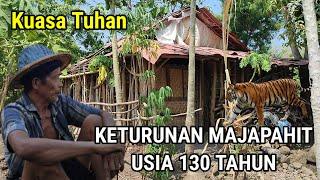 Kuasa Tuhan.! Keturunan Majapahit Usia 130 Tahun Hidup Di Hutan Berteman Macan