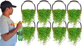 new way hanging plant ideas from recycling plastic chair- plant decoration ideas- diy garden ideas