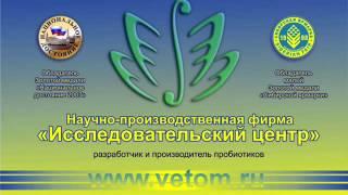 Лекция Леляк А. И. Москва 31.10.2006 (аудиозапись)