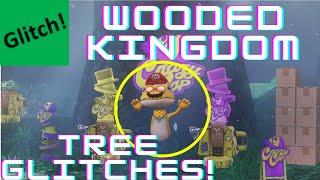 Mario Odyssey Wooded Kingdom Glitches (Still Working)! | Glitchtastick