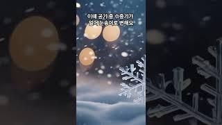 30초비우기하얀 눈이 만들어지는 온도의 마법