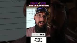 Purge Testing via Leak Search
