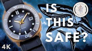  Aquatrident Jaws - A Legit Bronze Divers Watch, affordable Panerai Luminor homage - Review