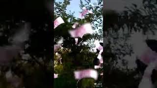 Piyush Komal 258(5)