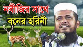 নবীজির কাছে হরিনীর ফরিয়াদ | মাওলানা তোফাজ্জল হোসেন ভৈরবি | Mawlana Tofazzal Hossain Waz | new waz