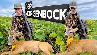 Lockjagd auf Rehböcke - Jagdpraxis - Ihr seid live dabei! #waldvierteljagd