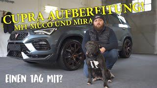 Cupra Fahrzeugaufbereitung mit Müco! | Einen Tag mit Müco von KFZ Gerhardt GmbH