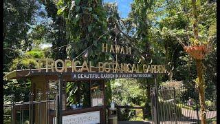 Hawaii Tropical Botanical Garden and Akaka Falls - Is it worth it?