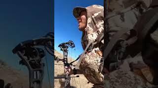 Grinding it out! #antelope #archery #pursuit #shorts
