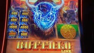 $3 & $10/Bet…High Number Chasing-Buffalo Link