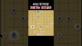 40년 장기인생 처음겪는 양차걸이