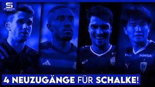 Gut & günstig! Diese ablösefreien Neuzugänge helfen Schalke in der Rückrunde! | S04 Analyse