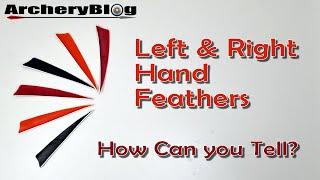 Left and Right Hand Feathers. How Can you Tell the Difference?