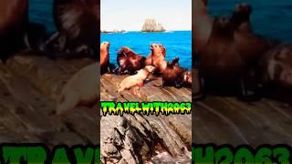 "Kamchatka Peninsula: Russia’s Untamed Wilderness "