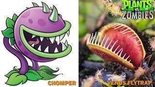 Plants vs Zombies Characters in Real Life