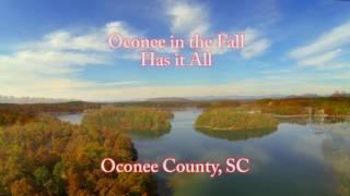 Fall Foliage in Oconee County, SC