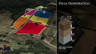 Tenuta Argentiera: Villa Donoratico vineyards in 3D