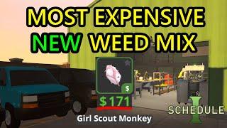 Schedule 1 Best Weed Recipe. Best Weed Mix Recipe for the Most Expensive Weed Strain in Schedule 1