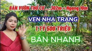 Tập 41: Bán Đất Vườn Ven Nha Trang Sẵn Vườn Trái Cây Chỉ 1.5 Tỷ