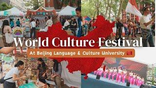 I performed at the BIGGEST CULTURE FESTIVAL in Beijing  | BLCU’24