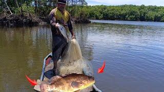 ENCONTRAMOS UM LOCAL COM VÁRIOS CARDUMES DE PEIXES. PESCA DE TARRAFA BEM SUCEDIDA ️