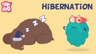 Hibernation | The Dr. Binocs Show | Learn Videos For Kids