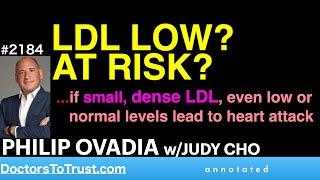 PHILIP OVADIA j3 | LOW LDL? AT RISK? …if small, dense LDL, even normal levels lead to heart attack