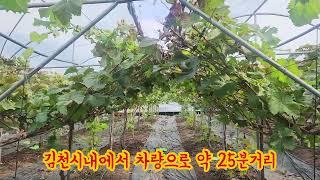 영동부동산샤이농장매매#토지매매#추풍령샤인농장매매#시골주택매매