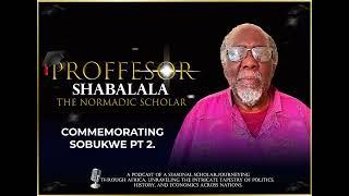 Proffesor Sipho Shabalala - Commemorating Sobukwe Pt 2.