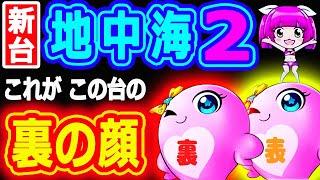 これがこの台の裏の顔『PAスーパー海物語IN地中海2』