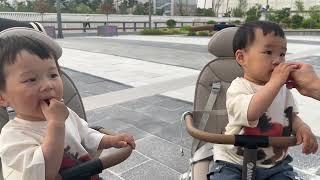 블루베리먹는 쭈니후니