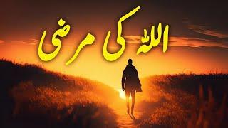 ALLAH Ki Marzi | Spiritual Quotes Compilation Video | Listen the Islam Q.K