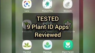 TESTED! 9 PLANT ID APPS REVIEWED! How accurate are they?