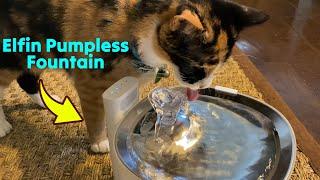 Elfin Fountain: Smart Pumpless Cat Fountain Tested  Gadgetify