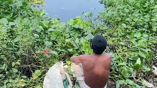 Fishing Video  | Today village boy came to big village Hook fishing | India Fishing 09