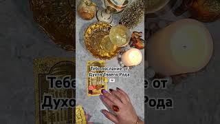 Послание от Духов#таро #таролог #tarot #гадание #тароонлайн #тарорасклад #таропрогноз #магия