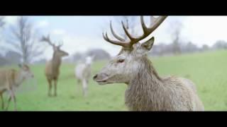 National Trust for Scotland - Membership