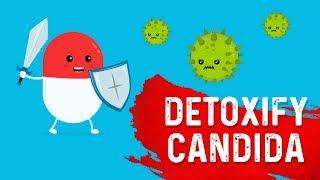 The Most Powerful Candida Infection (Yeast Infection) Killer – Dr. Berg