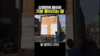 오랜만에 돌아온 기분 좋아지는 짤