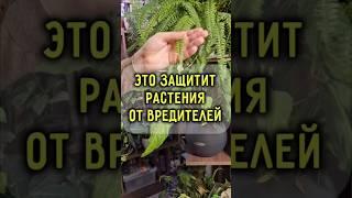 Купить Gloss: ВБ 6907954, Озон 289857440