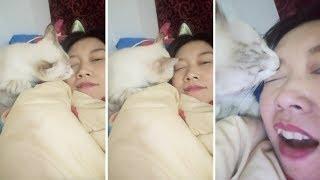 Cat Licks Owners Eye While She Tries To Sleep