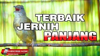 #1 KAPAS TEMBAK GACOR JERNIH PANJANG MANTAP UNTUK MASTERAN SEGALA JENIS BURUNG JERNIH CEPAT MASUK