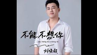 刘晓超- 不能不想你/Liu xiao chao -  bu neng bu xiang ni