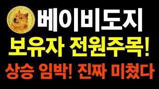 [베이비도지] 보유자 전원주목!! 상승임박! 진짜 미쳤다!