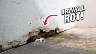 How To Fix Rotten Moldy Drywall From Water Damage! DIY For Beginners!